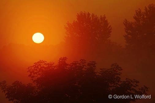 Foggy Sunrise Beside Two Trees_05360-3.jpg - Photographed near Lindsay, Ontario, Canada.